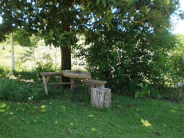 mesa con tornillos de caminon y piedra.JPG